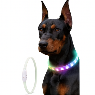 Lysande LED halsband