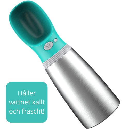Rostfri vattenflaska