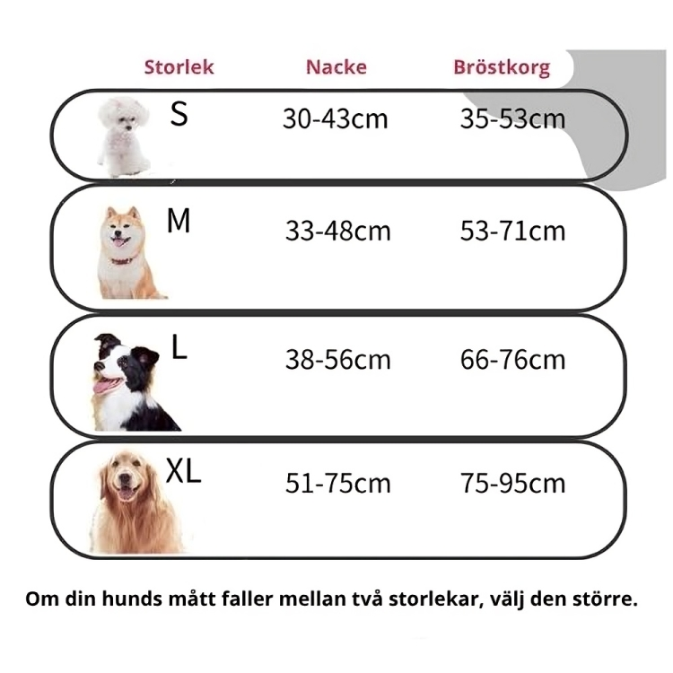 Active sele - Fjäll